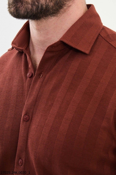 Rust Slim Fit Striped Cotton Shirt